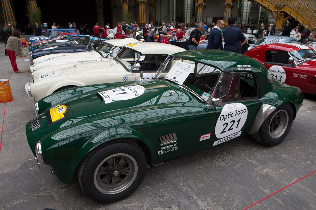 AC Shelby Cobra - Chassis: CSX2348 - Driver: Mark Freeman / Michael Ellis - 2014 Tour Auto