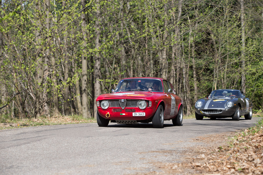 Alfa Romeo Giulia 1600 GTA  - Driver: Sarah Amoroso / Diego Meier - 2014 Tour Auto