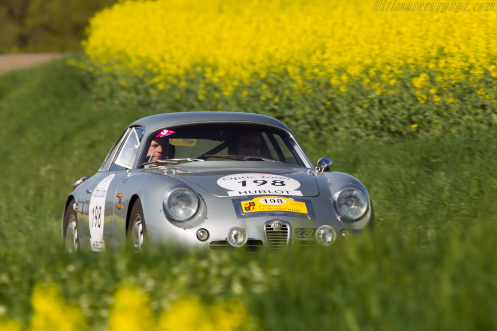 Alfa Romeo SZT - Chassis: AR10126 00197 - Driver: Pascal Perrier / Jerome Perrier - 2014 Tour Auto