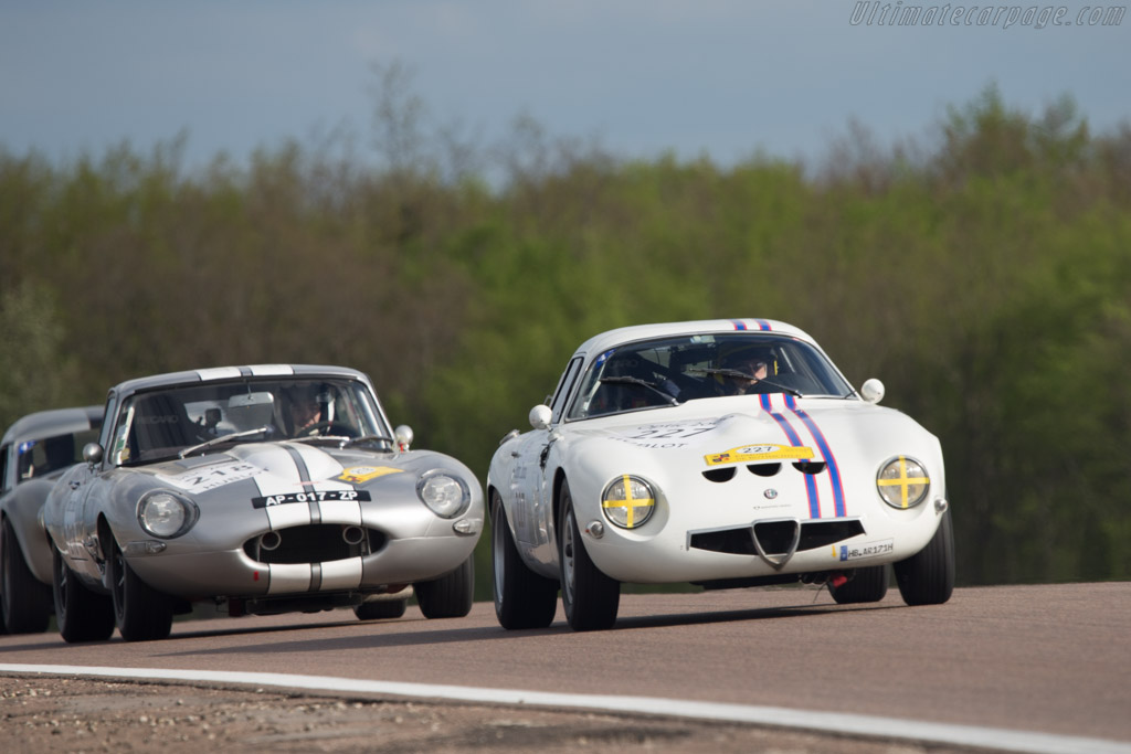 Alfa Romeo TZ - Chassis: AR10511 750043 - Driver: Franco Meiners / Emmanuele Pirro - 2014 Tour Auto