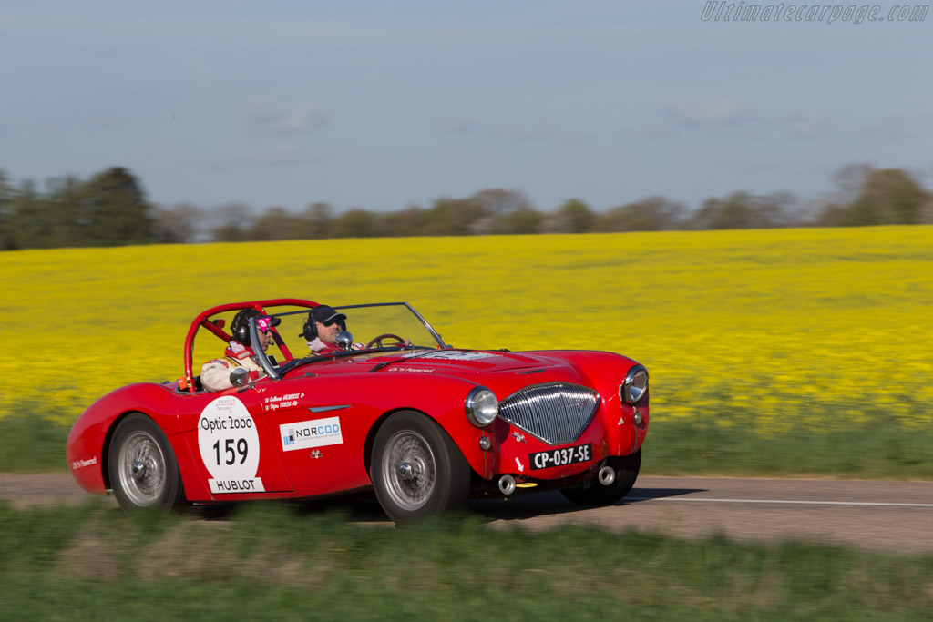 Austin Healey 100/4 - Chassis: BN1L-149635 - Driver: Stefano Friscia / Guillaume Meurisse - 2014 Tour Auto