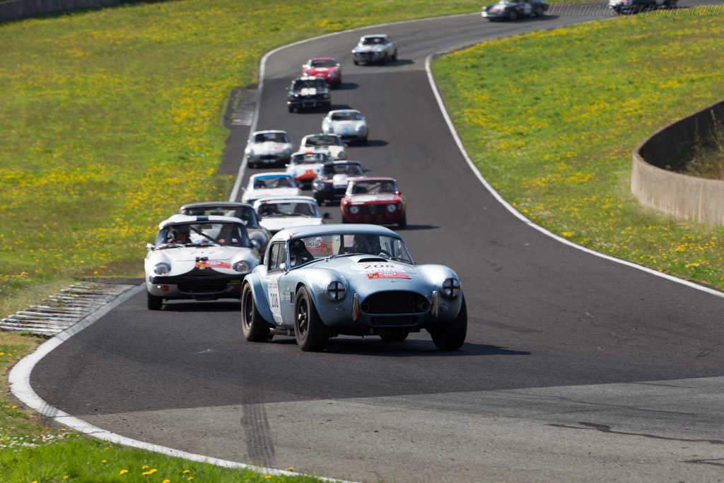AC Shelby Cobra - Chassis: CSX2485 - Driver: Frederic Jousset / Marc Antoine Falcon - 2015 Tour Auto
