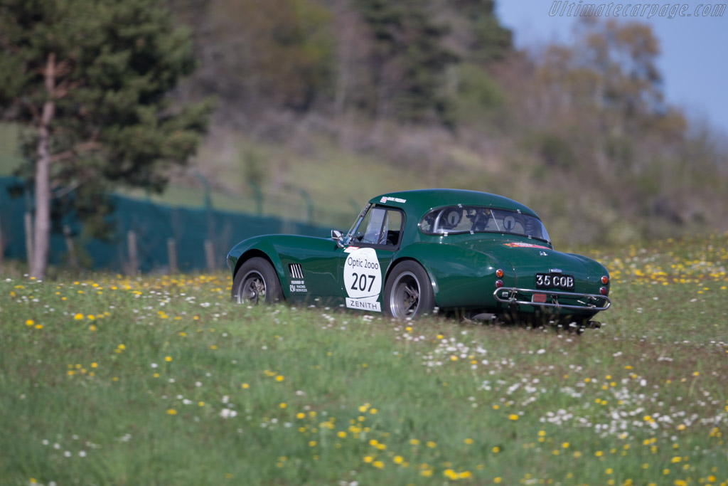 AC Shelby Cobra - Chassis: CSX2348 - Driver: Mark Freemann / Nigel Armstrong - 2015 Tour Auto