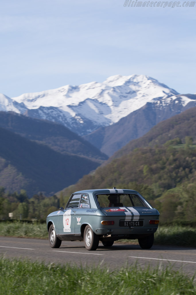 Peugeot 204 Coupe  - Driver: Francois de Gaillard / Mathieu Planchon - 2015 Tour Auto