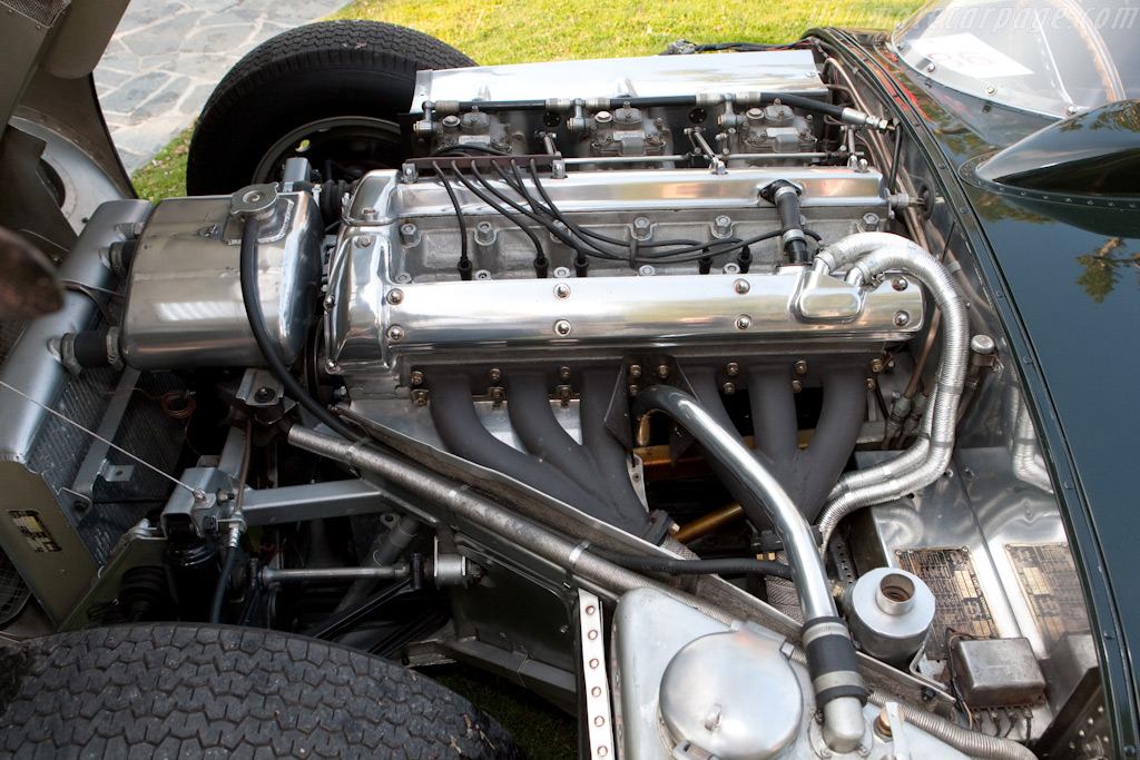 Jaguar D-Type - Chassis: XKD 530  - 2009 Concorso d'Eleganza Villa d'Este