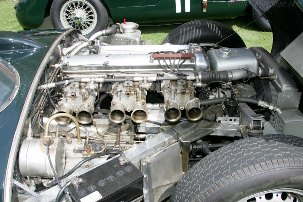 Jaguar D-Type - Chassis: XKC 401  - 2010 Concorso d'Eleganza Villa d'Este