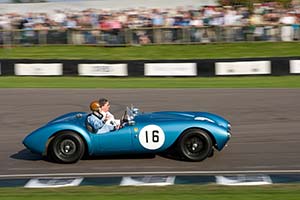 Click here to open the Frazer Nash Sebring gallery