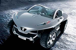 Click here to open the Peugeot Hoggar gallery