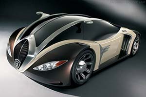 Click here to open the Peugeot 4002 gallery