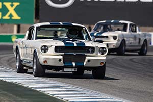 Click here to open the Ford Shelby Mustang GT350 R  gallery