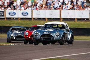 Click here to open the AC Shelby Cobra Mk II 289  gallery