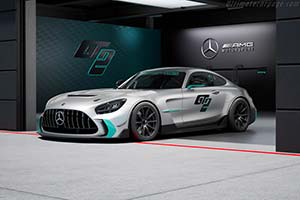 Click here to open the Mercedes-AMG GT2 gallery