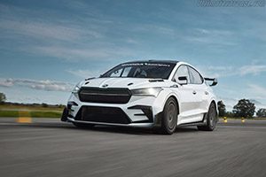 Click here to open the Skoda Enyaq RS Race gallery