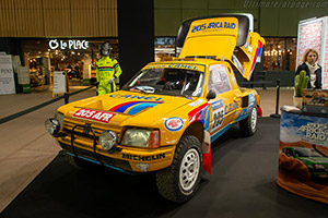 Click here to open the Peugeot 205 T16 Grand Raid gallery