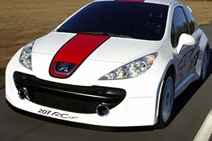 Click here to open the Peugeot 207 RCup gallery