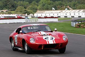 Click here to open the AC Shelby Cobra 289 'Willment' Coupe gallery