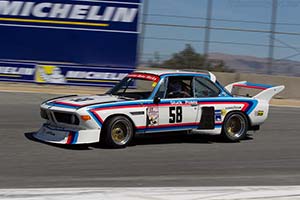 Click here to open the BMW 3.0 CSL IMSA  gallery