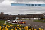 2017 Goodwood Members' Meeting