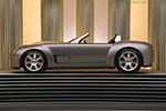 Shelby Cobra Concept