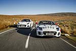 Jaguar F-Type Convertible Rally Car