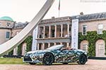 Lexus LC Convertible Prototype