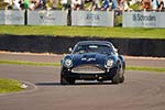 2011 Goodwood Revival