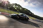 Porsche 718 Cayman GT4 RS