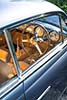 Ferrari 212 Inter Ghia Coupe