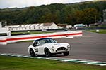 2022 Goodwood Revival