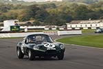 2008 Goodwood Revival