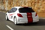 Peugeot 207 RCup