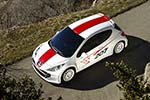 Peugeot 207 RCup