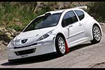 Peugeot 207 Super 2000