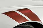 Chevrolet Corvette C6 Z06 Ron Fellows GT1 Champion