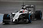 McLaren MP4-29 Mercedes