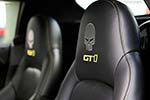 Chevrolet C6 Corvette GT1 Championship Edition