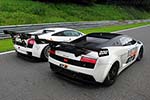 Lamborghini Gallardo LP560 GT3