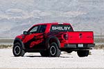 Shelby Raptor