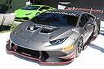 2014 The Quail, a Motorsports Gathering