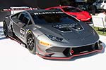 2014 The Quail, a Motorsports Gathering