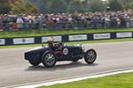 2014 Goodwood Revival
