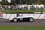 2014 Goodwood Revival