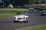 2014 Goodwood Revival