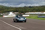 2015 Goodwood Revival